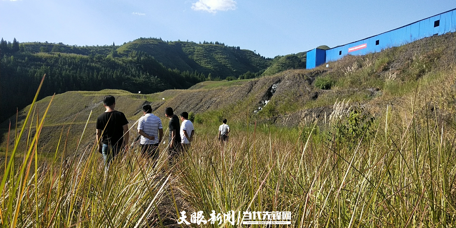 1700487350282989.jpg 六盤水香根草(cǎo)煤矸石修複現場 (5).jpg